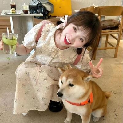我的完美秘书