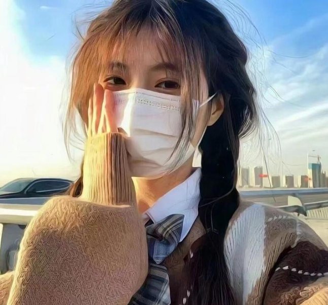 阿妮塔与加里波第