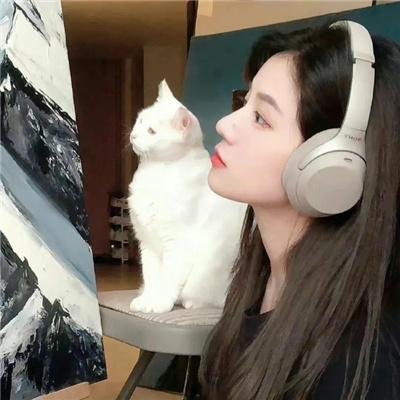 创业先锋